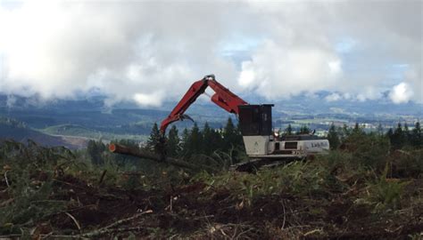 weyerhaeuser career opportunities.